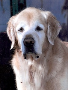 Bailey